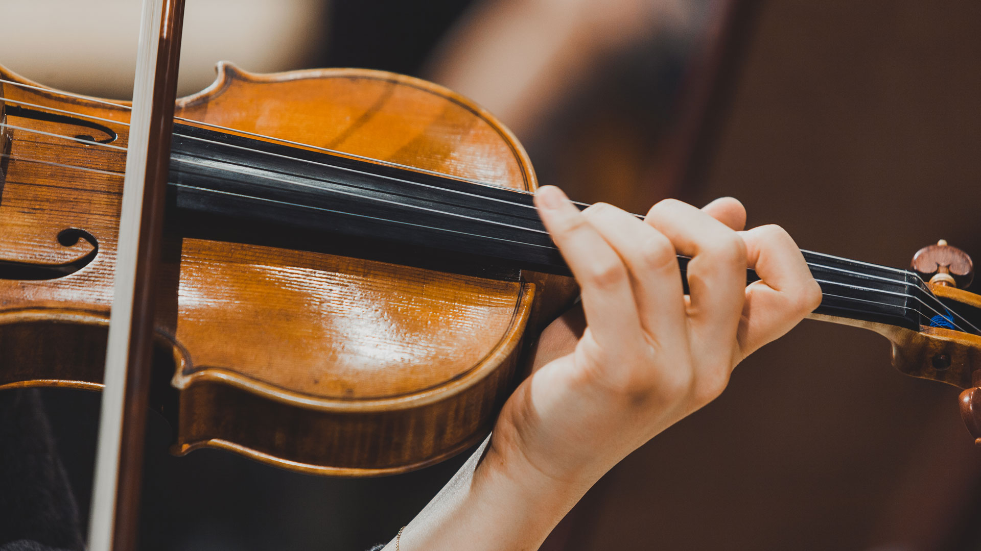 violin-sized